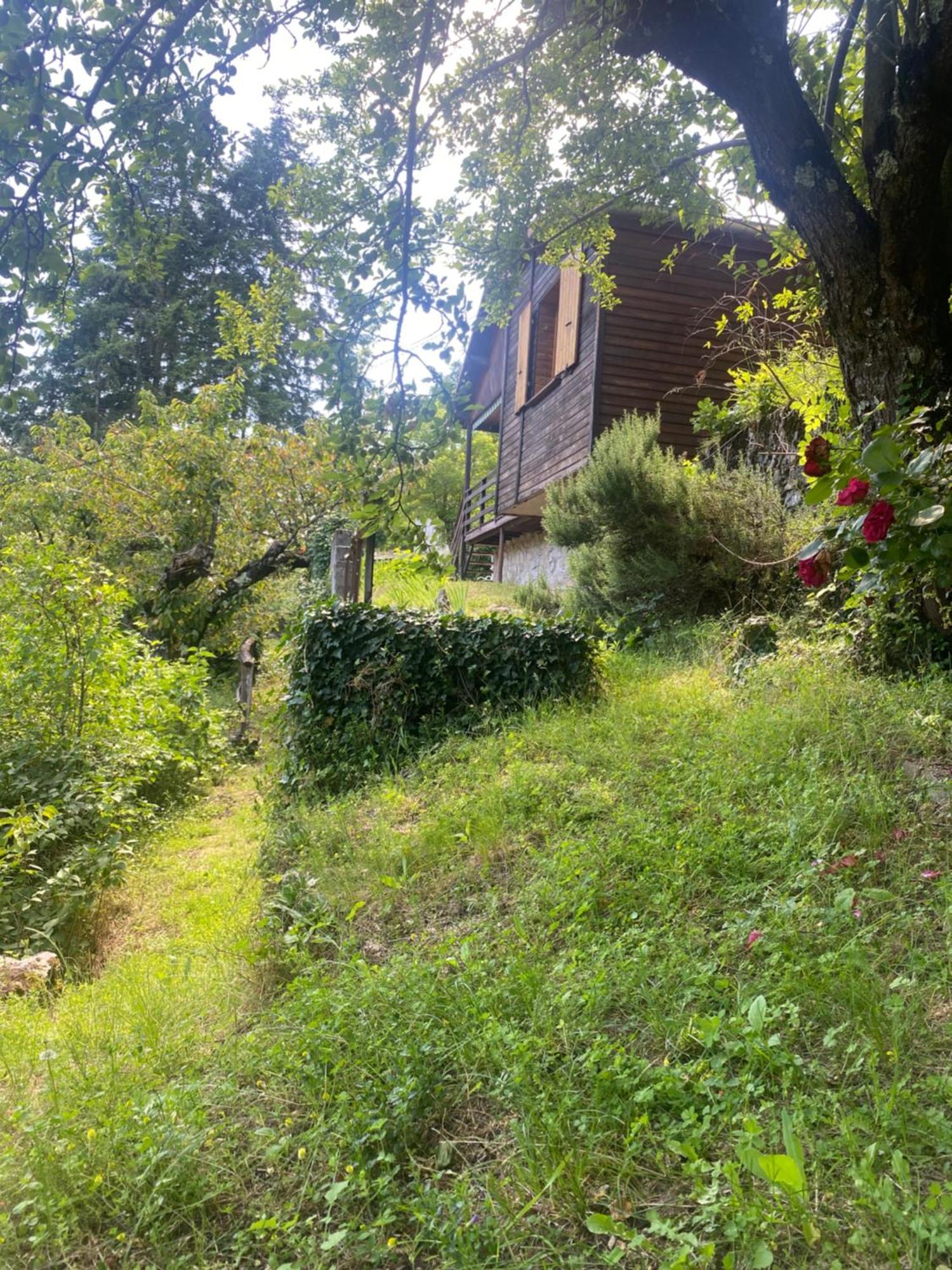 Chalet Les Accacias Vocance Extérieur photo